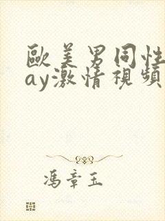 欧美男同性恋gay激情视频