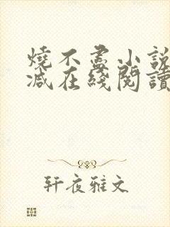 烧不尽小说无删减在线阅读