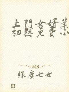 上门女婿叶辰萧初然免费小说