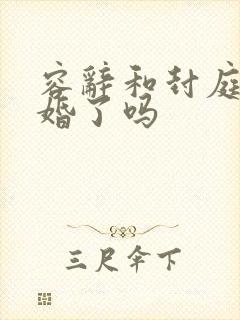 容辞和封庭深离婚了吗封面