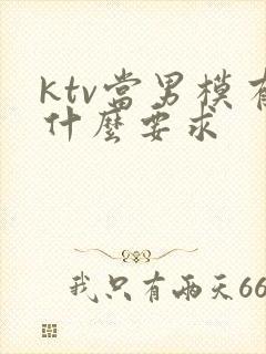 ktv当男模有什么要求