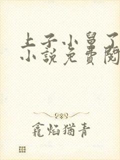 上子小舅了老婆小说免费阅读