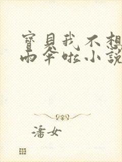 宝贝我不想带小雨伞啦小说封面