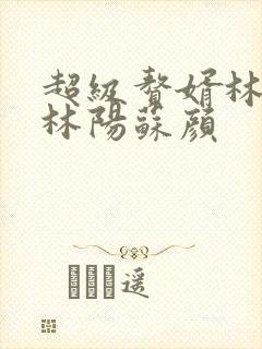 超级赘婿林阳 林阳苏颜封面