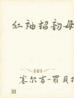 红袖招韵母攻略