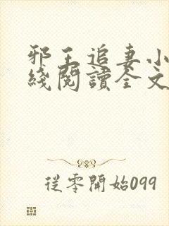 邪王追妻小说在线阅读全文