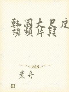 韩国大尺度床戏视频片段