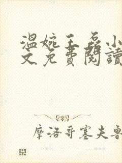 温婉王磊小说全文免费阅读无弹窗封面