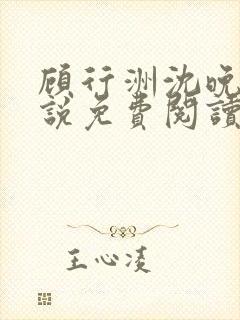 顾行洲沈晚宁小说免费阅读最新章节封面