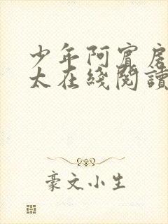 少年阿宾房东太太在线阅读封面