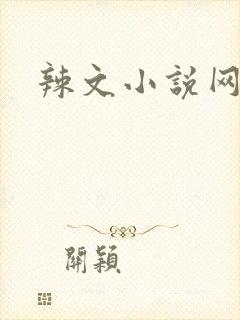 辣文小说网封面