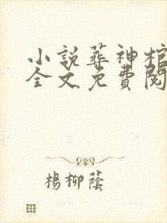 小说葬神棺在线全文免费阅读