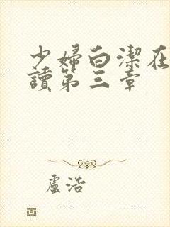 少妇白洁在线阅读第三章封面