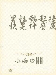 男性勃起后软的快是什么原因