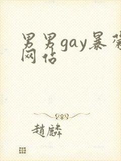 男男gay暴菊网站封面