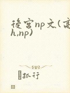 后宫np文(高h,np)封面