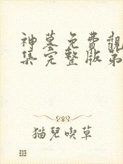 神墓免费观看全集完整版第一季动漫