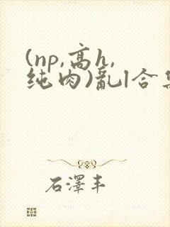 (np,高h,纯肉)乱l合集封面