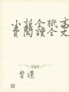 小说全职高手免费阅读全文无窗口