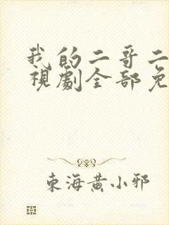 我的二哥二嫂电视剧全部免费观看