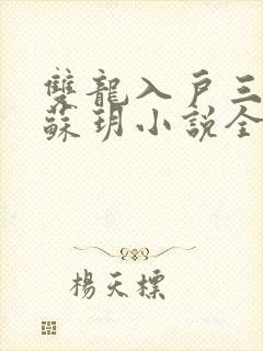 双龙入户三人行苏玥小说全文阅读
