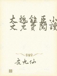 大魏能臣小说全文免费阅读