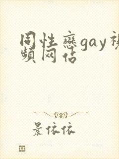 同性恋gay视频网站