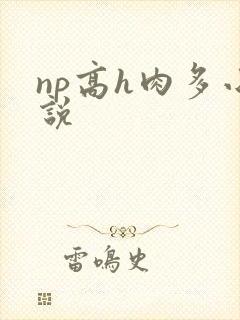 np高h肉多小说封面