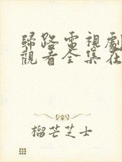 归路电视剧免费观看全集在线播放