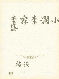 李霖李澜小说全集封面