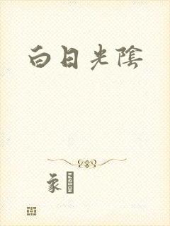 白日光阴封面