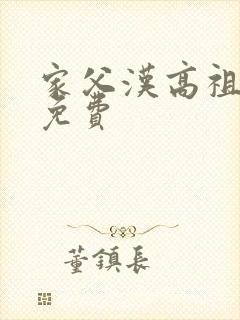 家父汉高祖全文免费