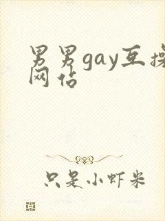 男男gay互操网站