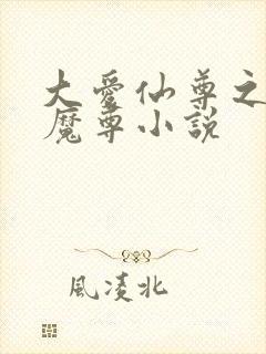 大爱仙尊之邪淫魔尊小说封面