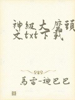 神级大魔头1全文txt下载