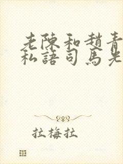 老陈和赵青窃窃私语司马光小说