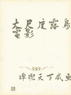 大尺度露鸟男同电影