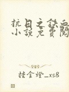 抗日之铁血使命小说免费阅读封面