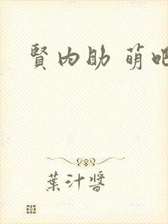 贤内助 萌吧啦封面