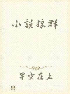 小说狼群