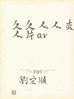 久久人人爽人人人片av