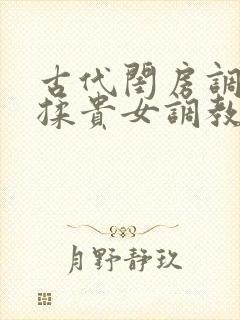 古代闺房调教h揉贵女调教记