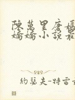 陈万里唐嫣然宋娇娇小说最新章节免费封面