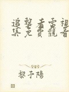 追击者电视剧全集免费观看高清