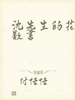 沈先生的花式调数书