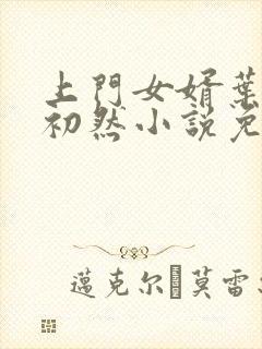 上门女婿叶辰萧初然小说免费阅读无弹窗