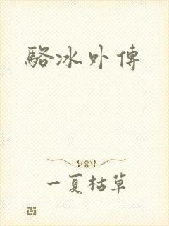 骆冰外传