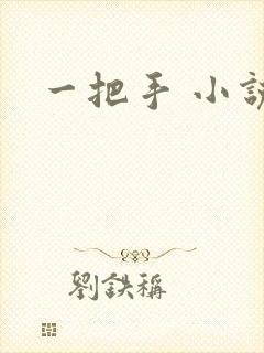 一把手 小说