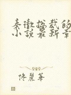 秦彻总裁的堕落小说最新章节更新内