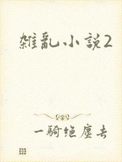 杂乱小说2